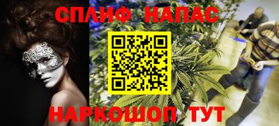 сатива Новокубанск